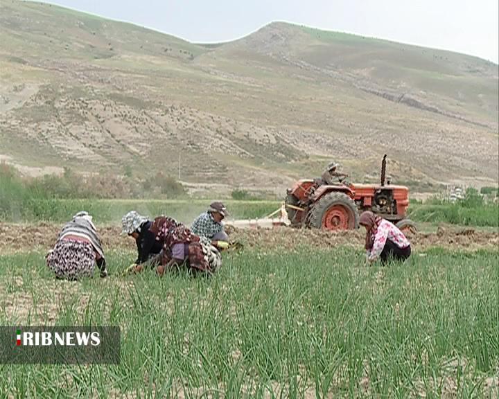 پویش روستای بدون کرونا