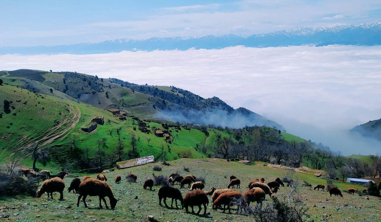 مرداد بارانی و خنک زنجان