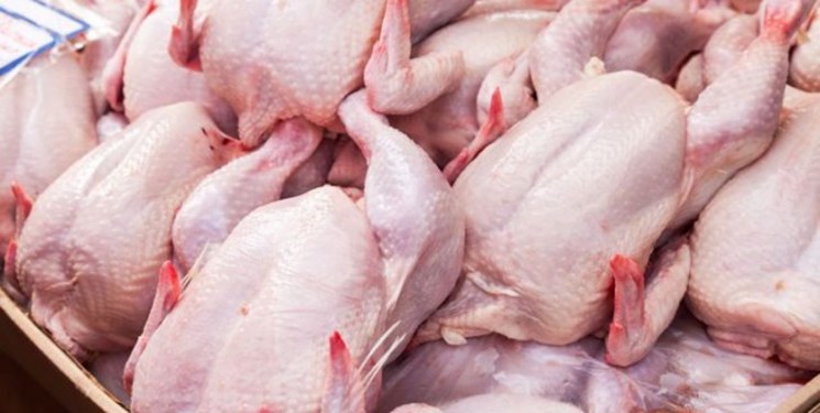 ذخیره  ۷۰۰ تن مرغ منجمد در سمنان 