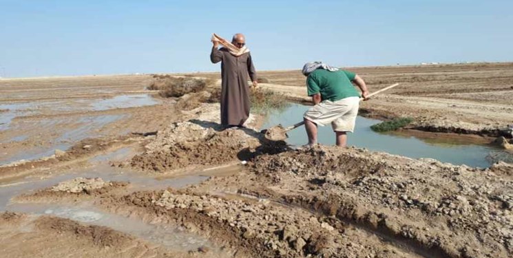 اختصاص بودجه  به طرح زمین‌های ۵۵۰ هزار هکتاری خوزستان