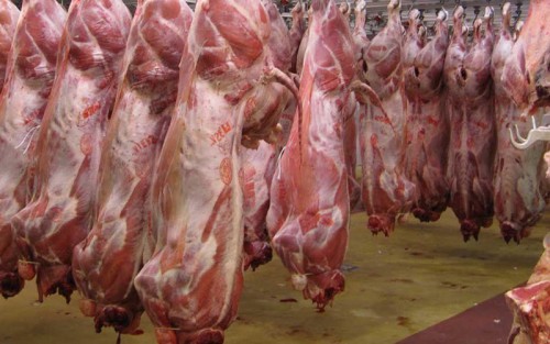 افزایش ۴۴ درصدی تولید گوشت قرمز در تیر ۹۹