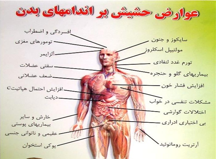 کشف محموله حشیش در یک قایق