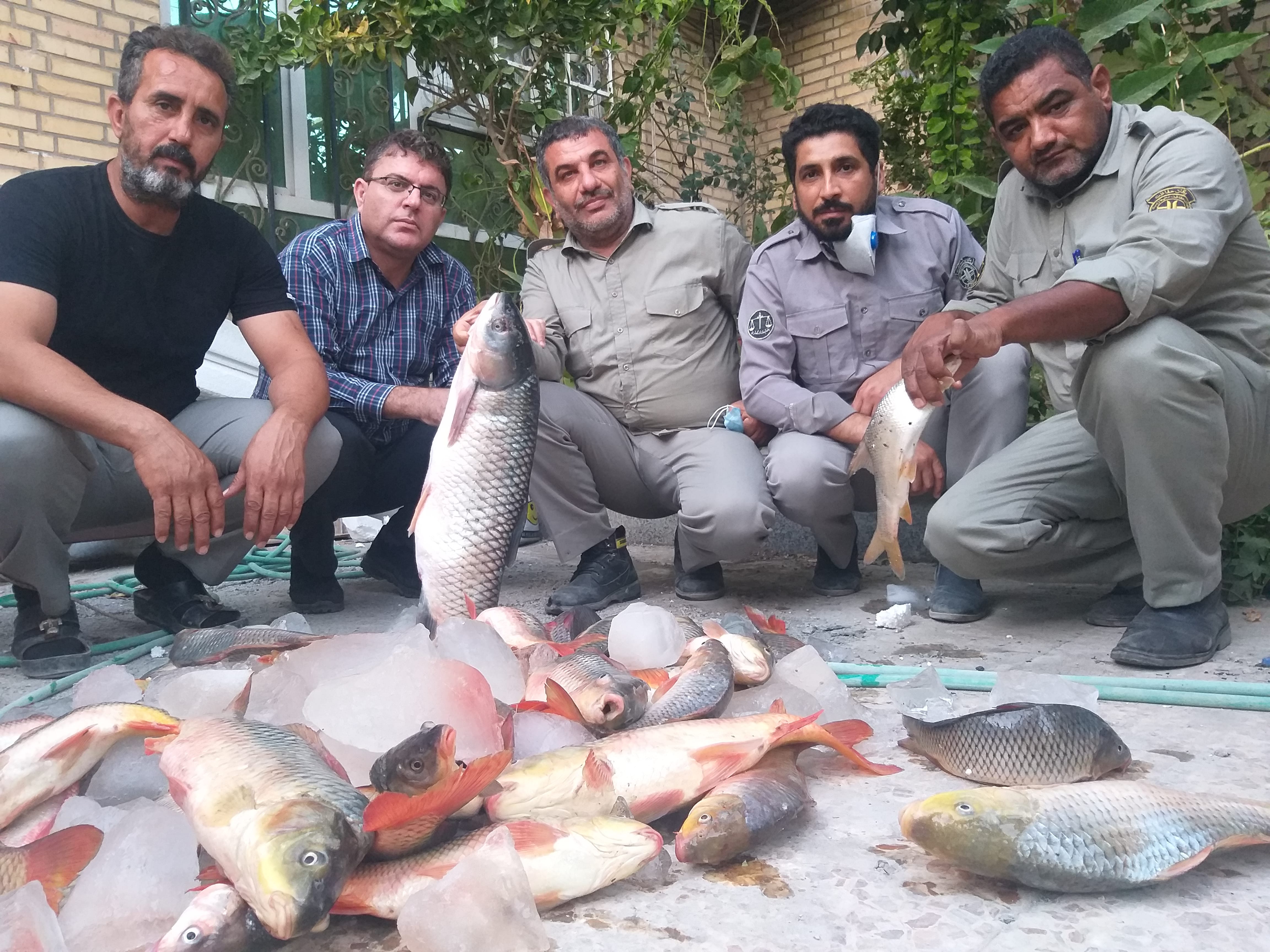 دستگیری 4 نفر متخلف صید غیرمجاز ماهی