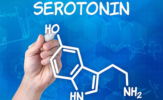 سروتونین، هورمونی برای کاهش عفونت‌های گوارشی