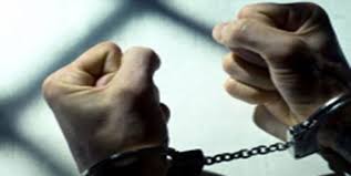 دستگیری ۱۲ سارق حرفه‌ای در دزفول