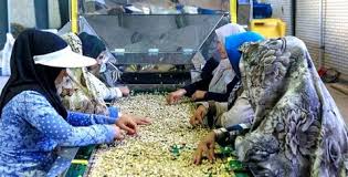 پرداخت 51 میلیارد تومان برای ایجاد اشتغال روستایی در زنجان