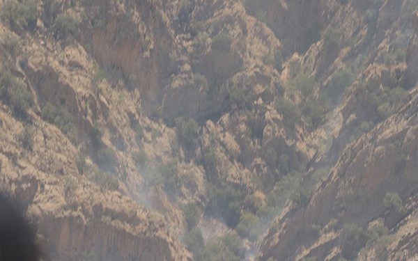مهار آتش‌سوزی جنگل‌های اطراف روستای کریک