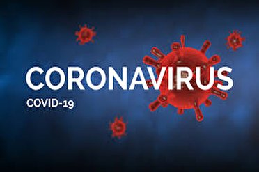 شناسایی ۶۶ مورد مبتلا به کروناویروس