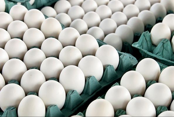 افزایش قیمت تخم مرغ در یزد