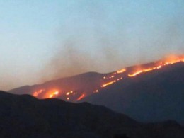 آتش سوزی این بار در منطقه دلو شهرستان شیراز