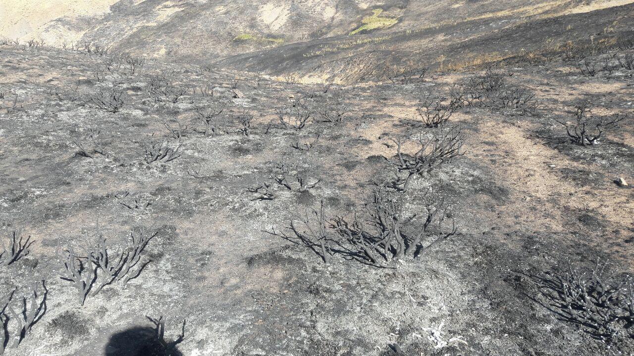 مهار آتش سوزی مراتع روستای نارین آباد بستان آباد