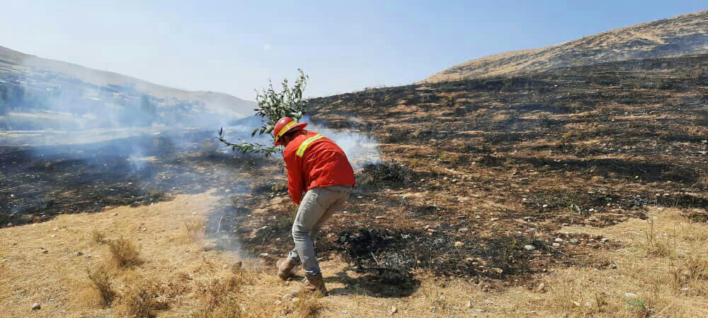 مهار آتش در مراتع روستای بادمحمود تکاب
