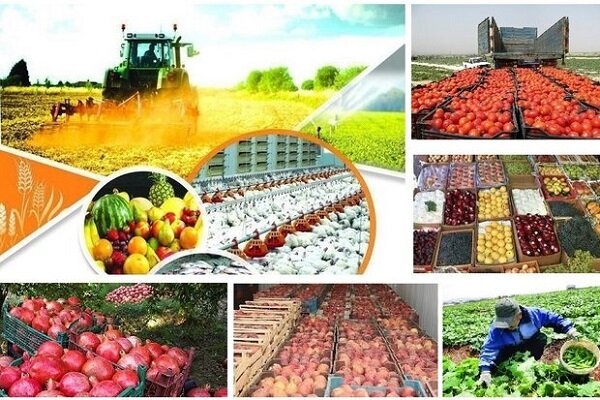 عرضه مستقیم محصولات کشاورزی در البرز