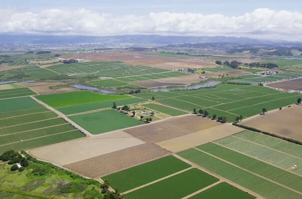 کاداستر به حفظ ارزش زمین‌های کشاورزی کمک می‌کند