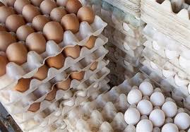 سودجویی این بار در قالب تخم مرغ‌های بسته بندی شده