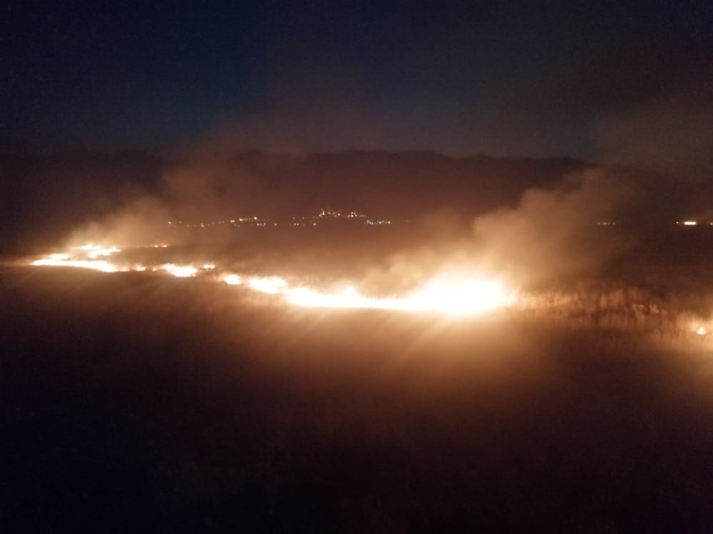 کوه‌های شاهپور کازرون در آتش