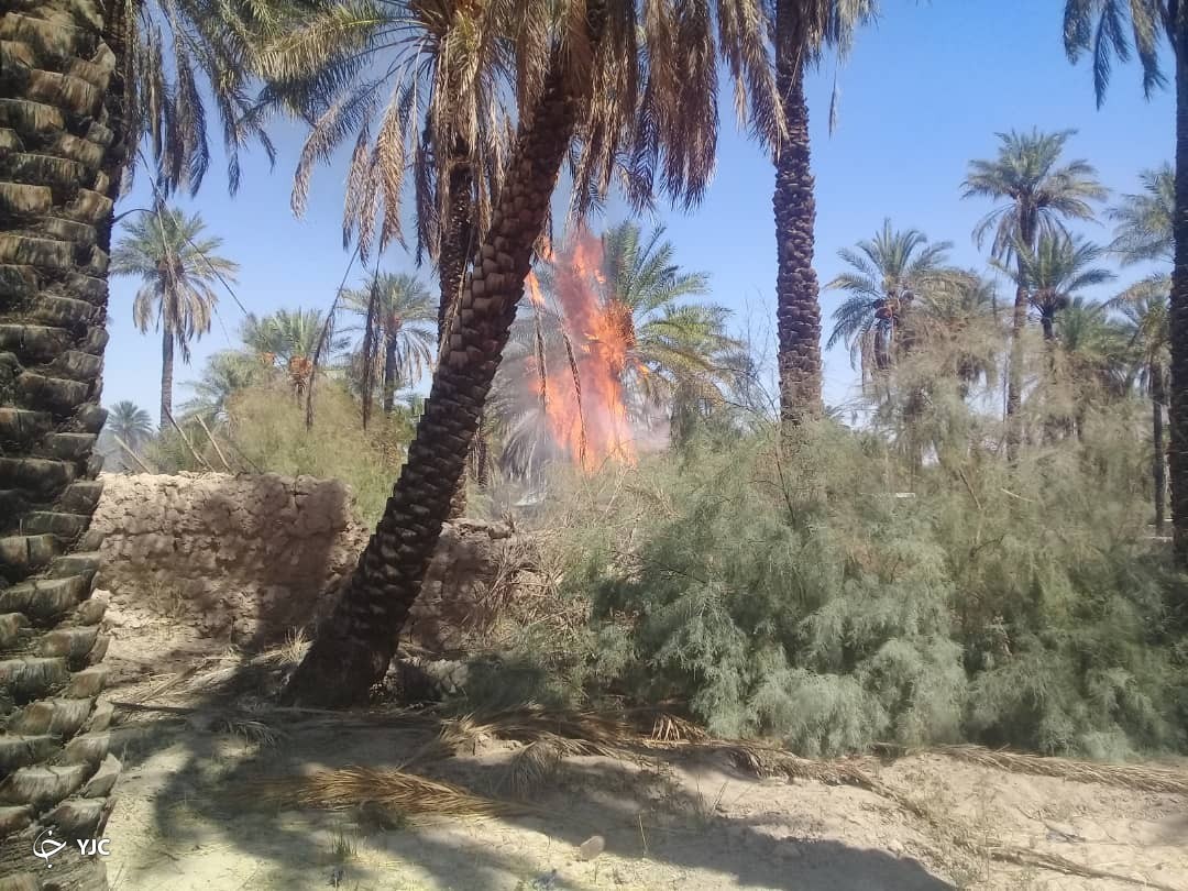 مهار آتش در نخلستان وباغ مرکبات شهداد کرمان
