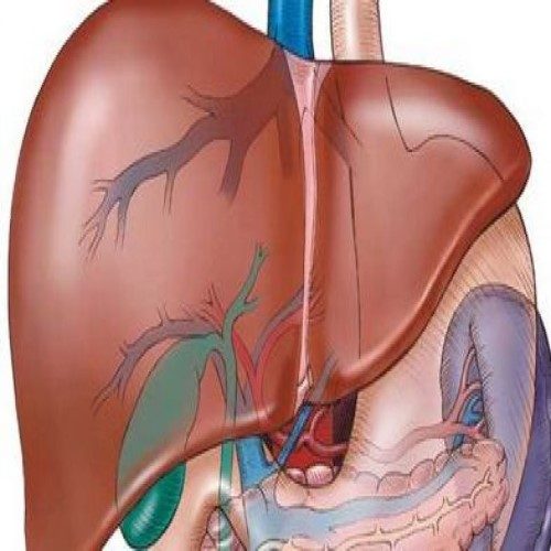 علل بیماری کبد