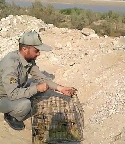 دستگیری شکارچیان متخلف درآبپخش و بوشکان دشتستان