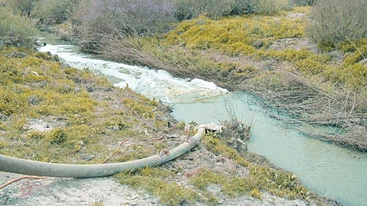 انجام نشدن تعهدات بسیاری از دستگاه ها در احیای کشف رود