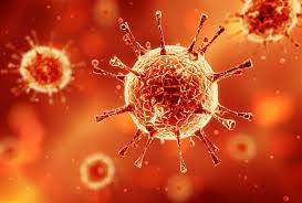 6 فوتی و 262 مورد جدید مبتلا به کرونا ویروس