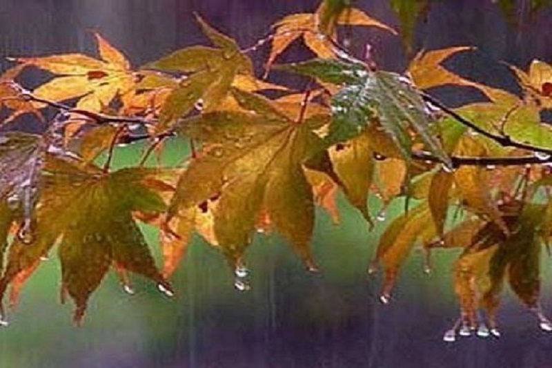 بارش اولین باران پائیزی در ایلام