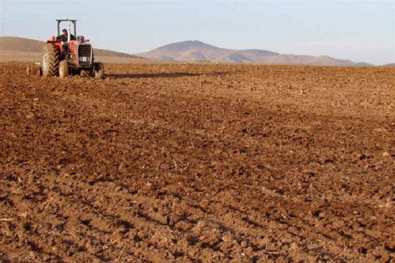 کشت پاییزه در ۱۰ هزار و ۵۰۰ هکتار از اراضی کشاورزی چرام