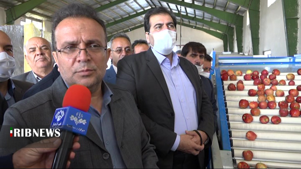 افتتاح نخستین واحد صنعتی سورتینگ میوه  در مشگین شهر