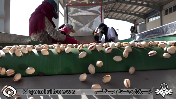 دست ما کوتاه و خرما بر نخیل