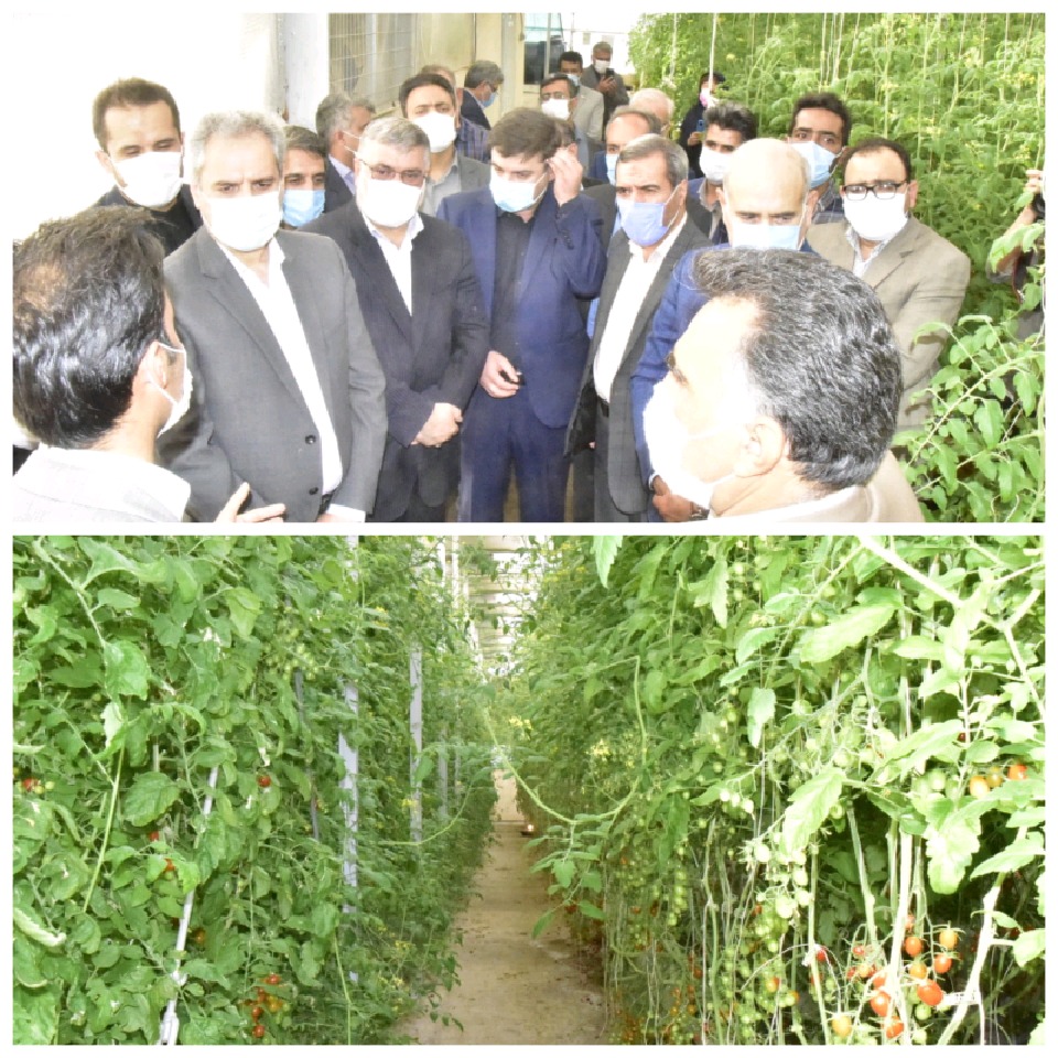 بازدید وزیر جهاد کشاورزی از مجتمع گلخانه‌ای خوسف