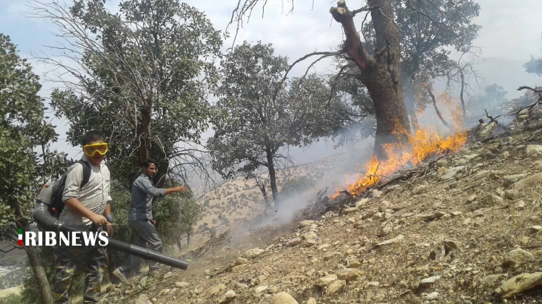 مهار ۲ آتش سوزی در جنگل‌های پارک ملی دنا