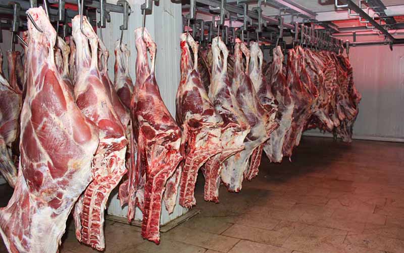 تولید بیش از هزار تن گوشت قرمز در فسا
