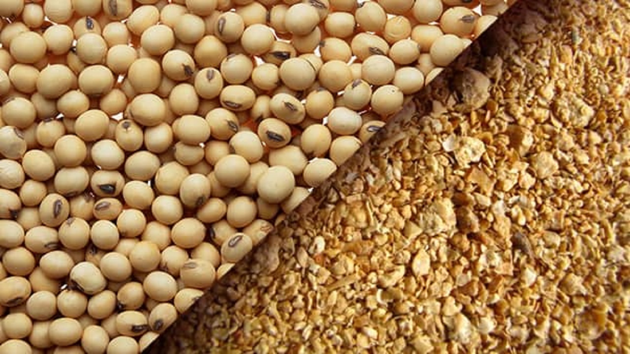 خرید توافقی بیش از ۱۵۵ هزار تن انواع محصولات کشاورزی در قزوین