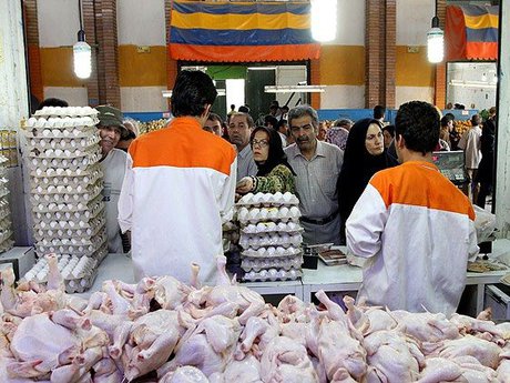نوسان قیمت‌ در بازار مرغ، تخم مرغ و شیر