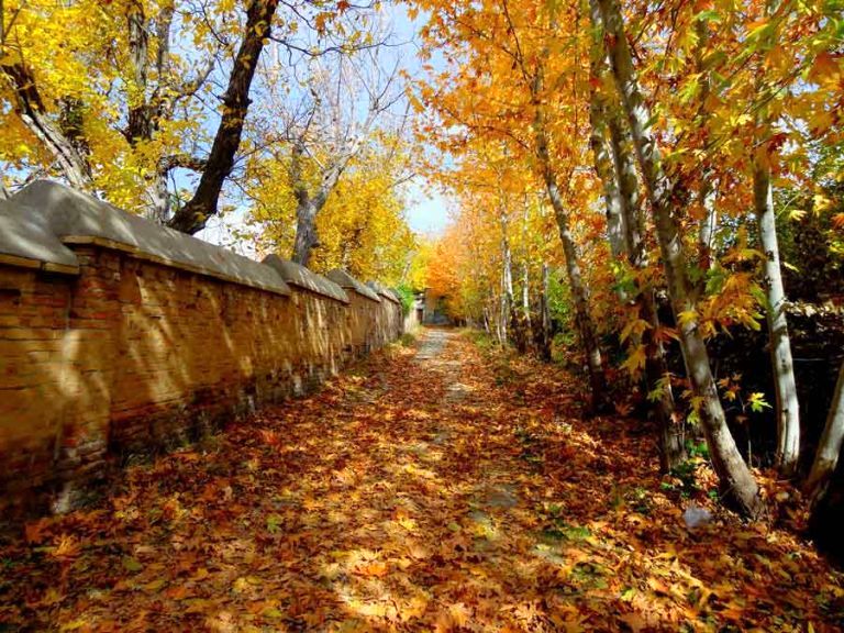 سوز سرمای پاییز در زنجان