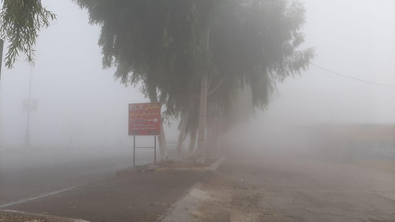 مه غلیظ صبحگاهی و کاهش میزان دید در بوشهر به ۱۰۰ متر