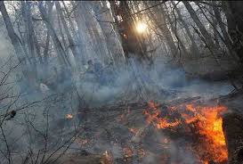 آتش سوزی در کوه منار اندیکا
