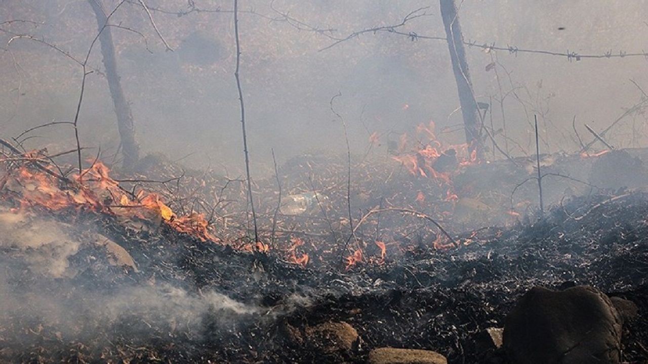 مهار آتش سوزی در منابع طبیعی اندیکا