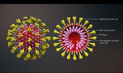 نخستين تصاوير از ساختار ویروس کووید ۱۹
