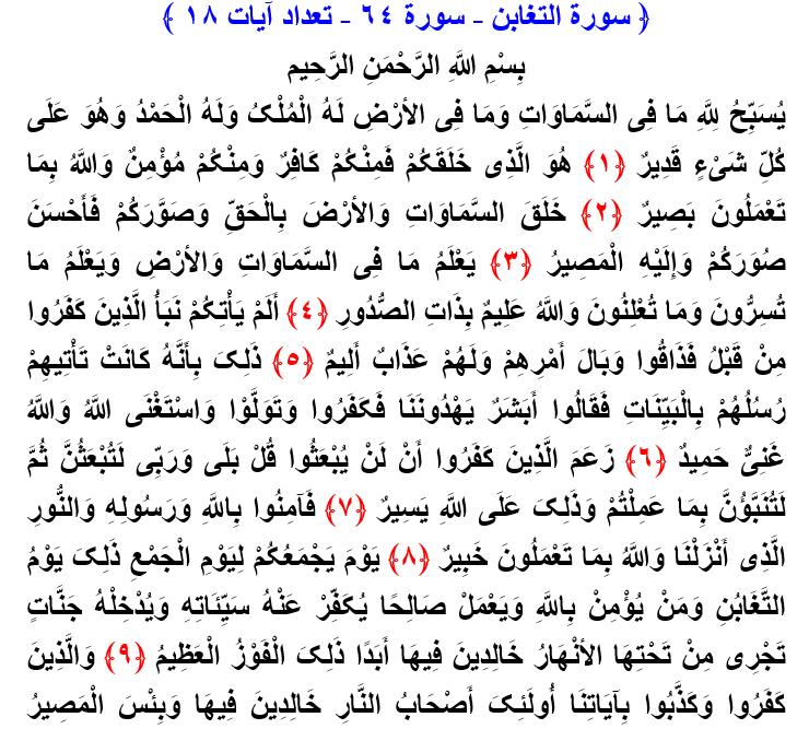 اموال و فرزندان اسباب فتنه هستند