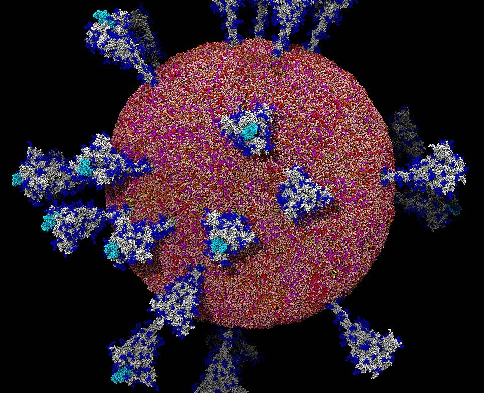 انتشار تصاویر جدید و غیر قابل باور از ویروس کرونا