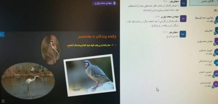 برگزاری وبینار آموزشی نحوه شناسایی پرندگان