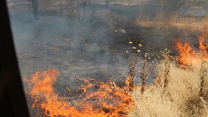 ‍مهار آتش‌سوزی پارک جنگلی شهید فرومندی سبزوار