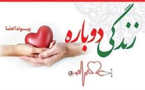 اهدای عضو پاسدار بسیجی در تهران جان چند بیمار را نجات داد