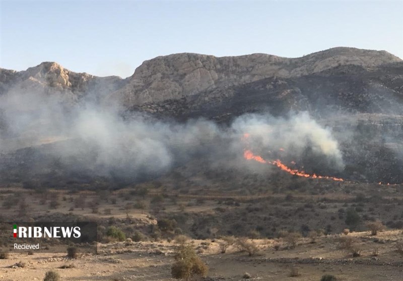 مهار آتش در منطقه حفاظت شده بیستون