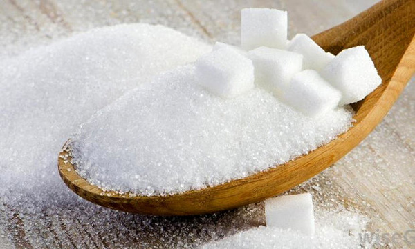 پیش بینی  افزایش تولید شکر در  خوزستان