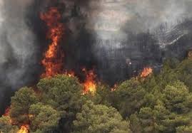 کاهش ۱۵ درصدی حوادث آتش سوزی در مناطق طبیعی و محیط زیست خوزستان