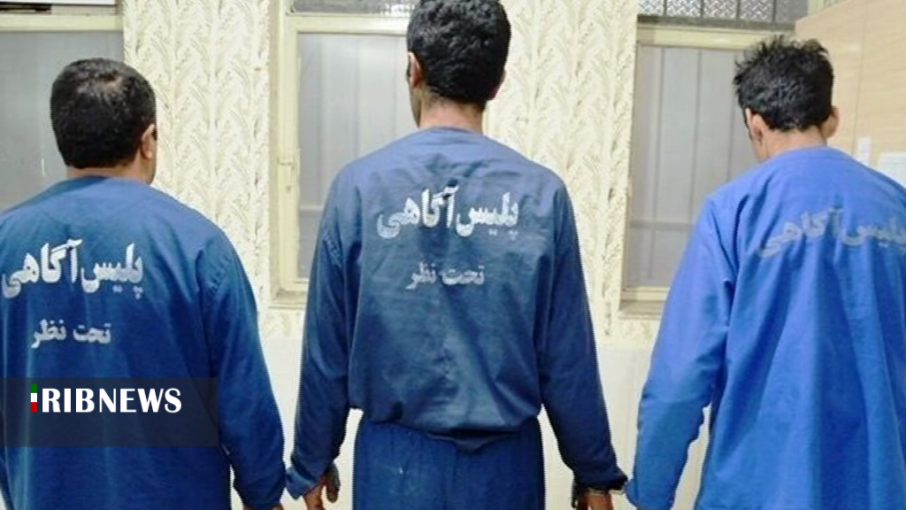 دستگیری سارقان حرفه ای در پارس آباد