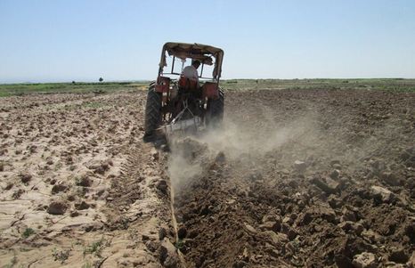 تخصیص سوخت کشت پاییزه در خوزستان بر اساس سطح زیرکشت