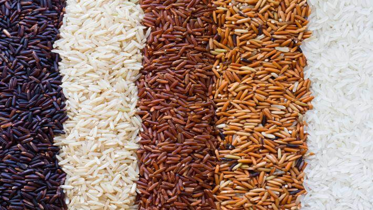 تنوع برنج در جهان